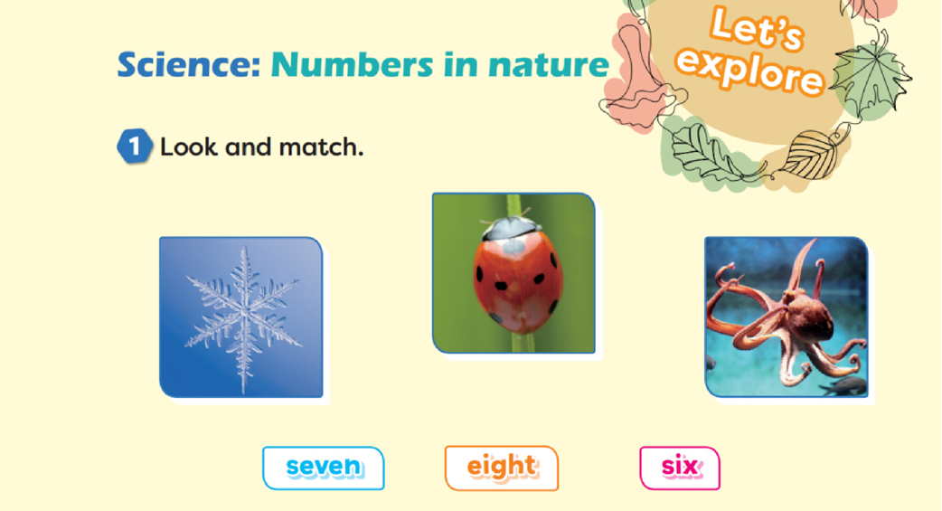 雪花、瓢虫、章鱼，与 seven、eight、six 配对
